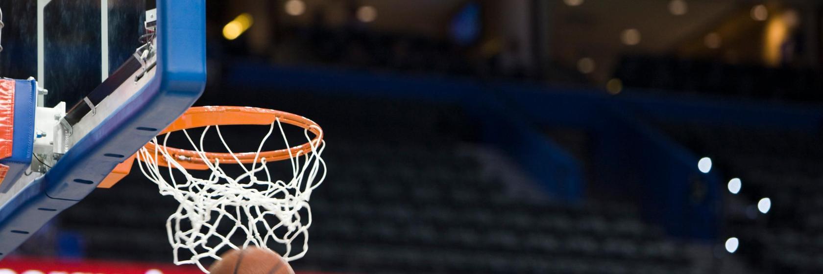 Salle omnisports Palacio de Deportes José María Martín Carpena